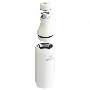 قمقمه آب استنلی اورجینال مدل The All Day Slim Bottle گنجایش 0.35 لیتر
