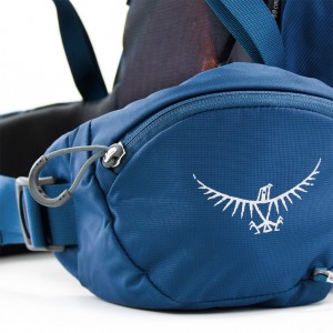 کوله پشتی کوهنوردی آسپری مدل Kestrel 38