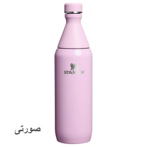 قمقمه آب استنلی اورجینال مدل The All Day Slim Bottle گنجایش 0.6 لیتر