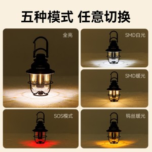 چراغ آویز بلک داگ | CBD2450ZM013