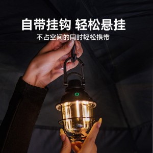 چراغ آویز بلک داگ | CBD2450ZM013