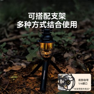 چراغ آویز بلک داگ | CBD2450ZM013