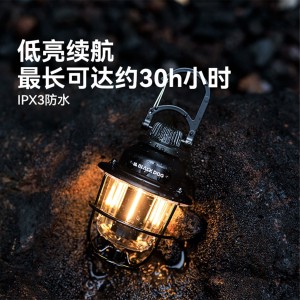 چراغ آویز بلک داگ | CBD2450ZM013