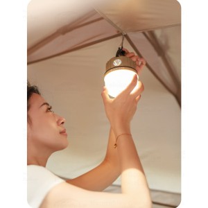 چراغ کمپینگ بلک داگ | CBD2550ZM031