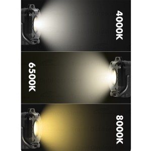 پرژکتور مینی بلک داگ | CBD2550ZM017