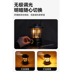 چراغ فانوسی بلک داگ مدل CBD2450ZM021