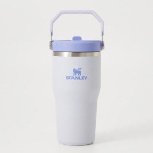 قمقمه استنلی اورجینال مدل IceFlow™ Flip Straw Tumbler 2.0 گنجایش 0.59 لیتر