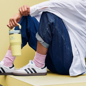 قمقمه استنلی اورجینال مدل IceFlow™ Flip Straw Tumbler 2.0 گنجایش 0.59 لیتر