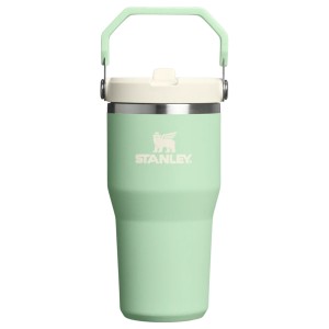 قمقمه استنلی اورجینال مدل IceFlow™ Flip Straw Tumbler 2.0 گنجایش 0.59 لیتر