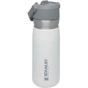 قمقمه 650 میلی لیتری استنلی مدل Go Flip Straw Water Bottle