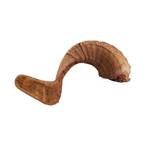 تشویقی سگ هاپومیل مدل شاخ طبیعی Natural Horn