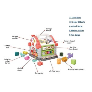 هولا تویز Activity House Shape Sorter