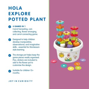اسباب بازی فکری هولا تویز Hola Explore Potted Plant