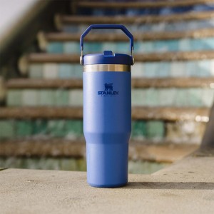 قمقمه استنلی مدل Iceflow Flip Straw Tumbler گنجایش 0.88 لیتر