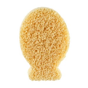 اسفنج طبیعی طرح ماهی چیکو CHICCO (اورجینال)