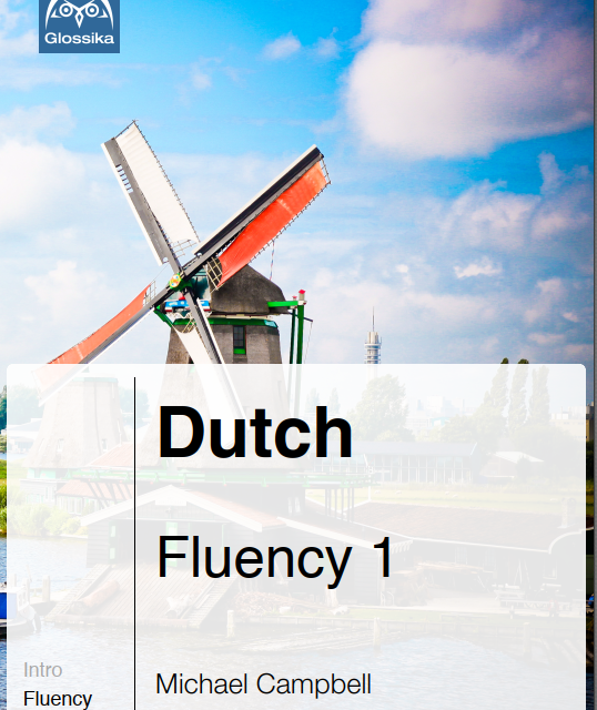 کتاب داستان هلندی تصویری دخترک کبریت فروش Het Meisje met de Zwavelstokjes