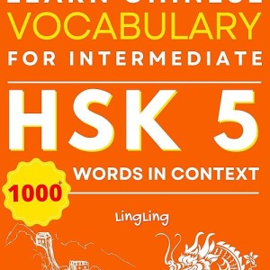 کتاب واژگان چینی جدید HSK سطح 5 Learn Chinese Vocabulary for Intermediate New HSK Level 5 Chinese Vocabulary Book