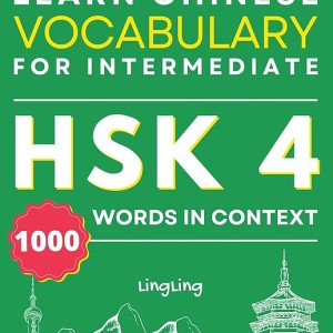 کتاب واژگان چینی جدید HSK سطح 4 Learn Chinese Vocabulary for Intermediate New HSK Level 4 Chinese Vocabulary Book