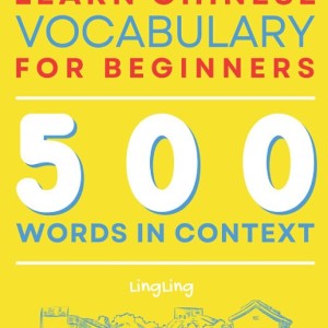 کتاب واژگان چینی جدید HSK سطح 1 Learn Chinese Vocabulary for Beginners: New HSK Level 1 Chinese Vocabulary Book