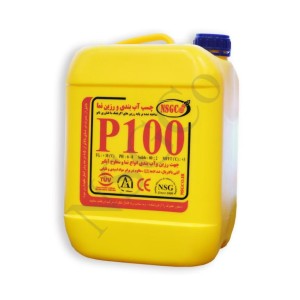 رزین نانو انواع سطوح و نما P100 (رزین چوب، آجر، سنگ و نما)