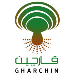 قارچین