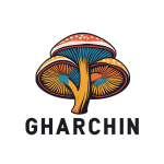قارچین