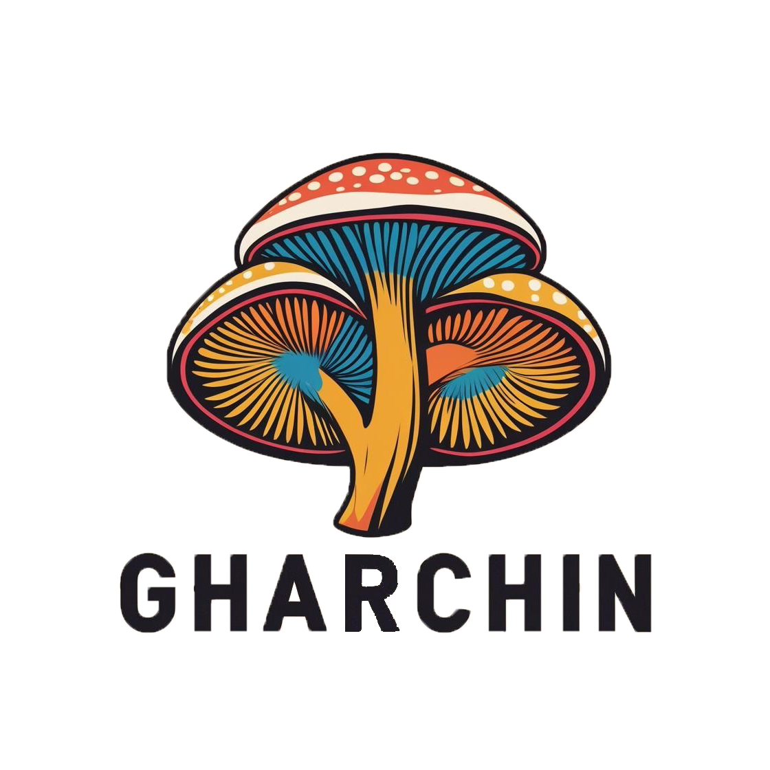 قارچین