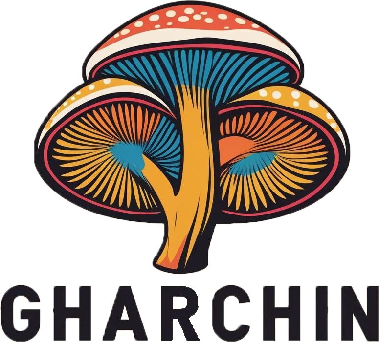 قارچین