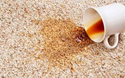 چگونه لکه های قهوه را از فرش پاک کنیم