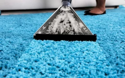 نحوه تمیز کردن فرش شگی یا پرز بلند
