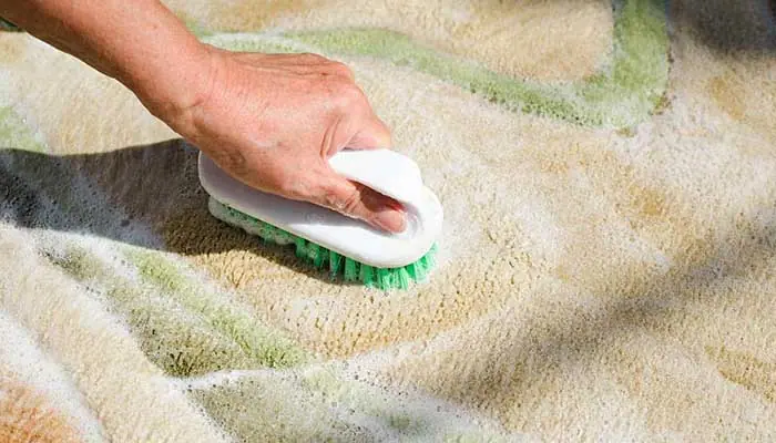  برس فرش نرم استفاده کنید