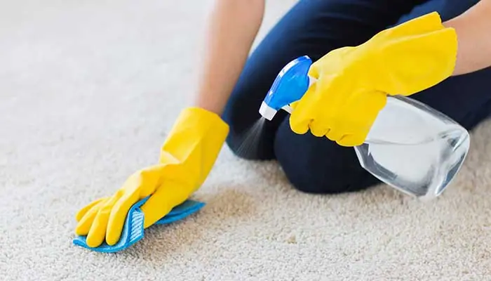 تمیز کردن لکه از روی فرش شگی با سرکه سفید