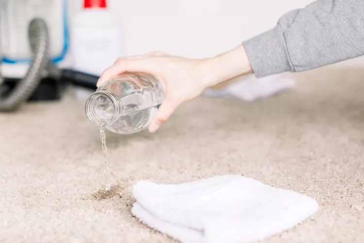 چگونه لکه های قهوه را از فرش پاک کنیم 2