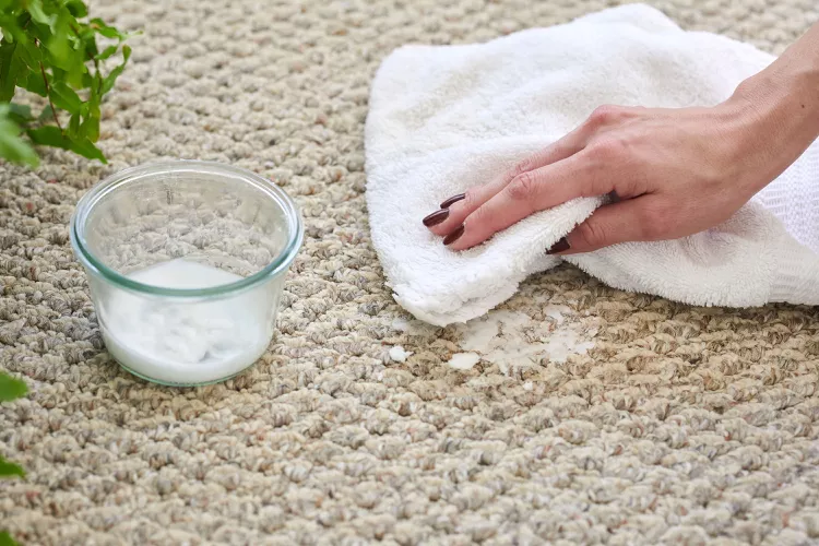 چگونه لکه های قهوه را از فرش پاک کنیم 5