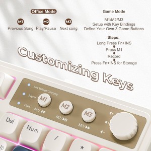 کیبورد مکانیکی ردراگون مدل Redragon Eisa Pro K686AK RGB