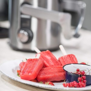 آبمیوه گیری 4 کاره گاستروبک 40152