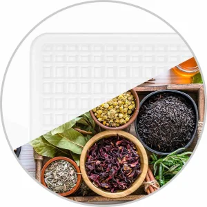 میوه خشک کن گاستروبک 46602