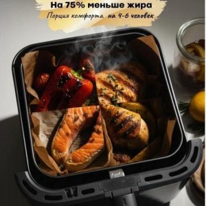 سرخ کن مباشی 10لیتری 9902