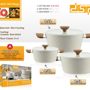 ظروف چدن دی اس پیDSP CA021
