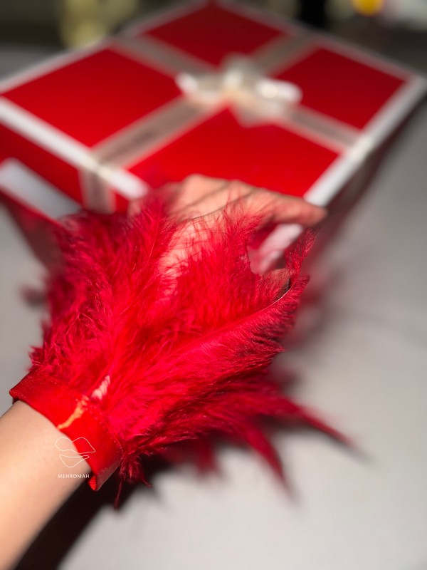 مچ بند فانتزی پردار کد233