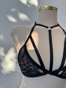 هارنس بالاتنه گیپوری