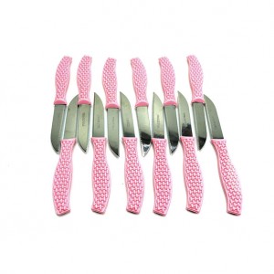 چاقو میوه‌ خوری ۱۲ عددی مدل ابتکار