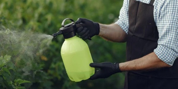 سمپاشی صحیح گیاهان