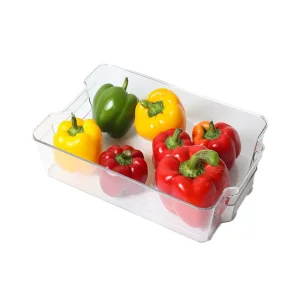 نظم دهنده نشکن رایا