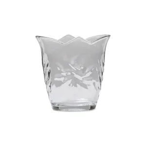 جا کاردی سناتور