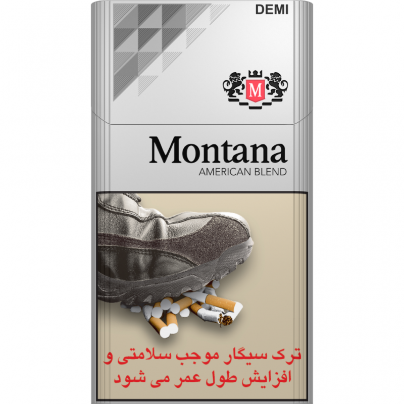 مونتانا نقره ای