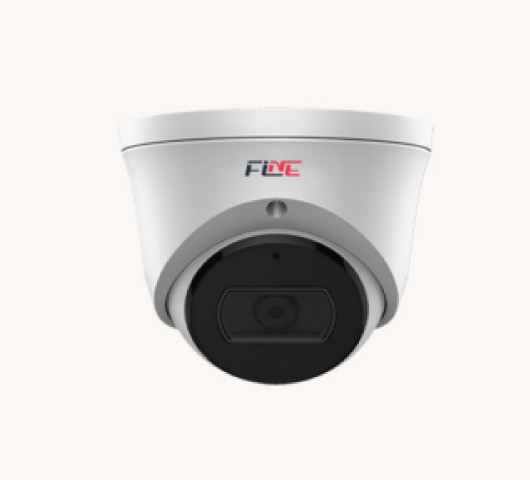 دوربین مدار بسته 2 مگاپیکسل فاین مدل تورت FGN-32QN