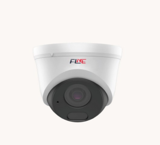 دوربین مدار بسته 4 مگاپیکسل فاین مدل تورت FGN-43HN