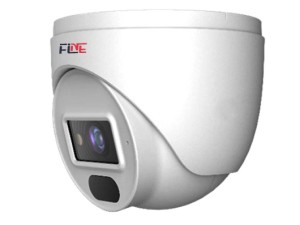 دوربین تحت شبکه 2 مگاپیکسل فاین مدل دام  FGN-22HN