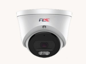 دوربین مدار بسته 4 مگاپیکسل فاین مدل تورت FGN-42XP